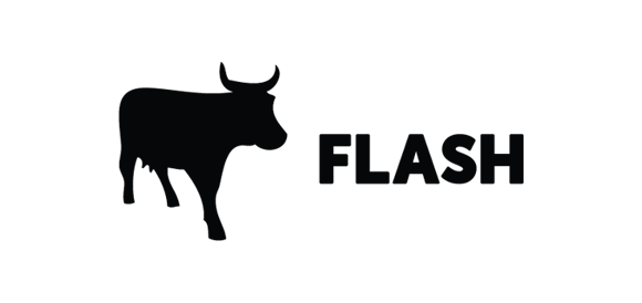 flash-logo